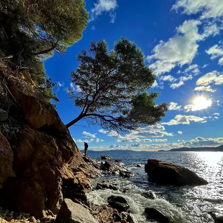 Le St Le Lavandou