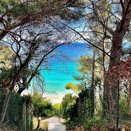 Appartement Résidence Le St Le Lavandou